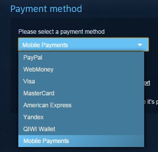 Steam payment methods